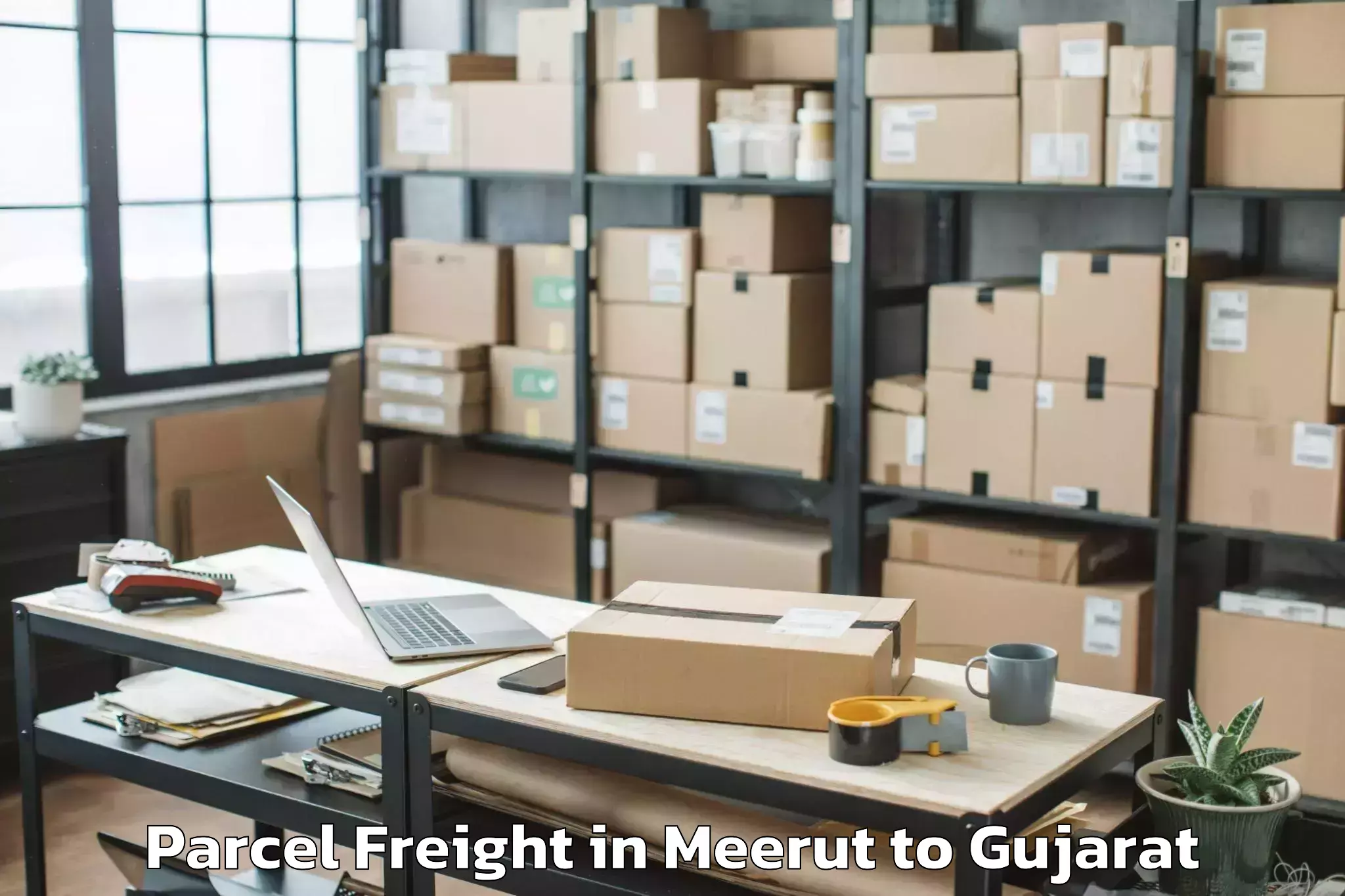 Expert Meerut to Vav Parcel Freight